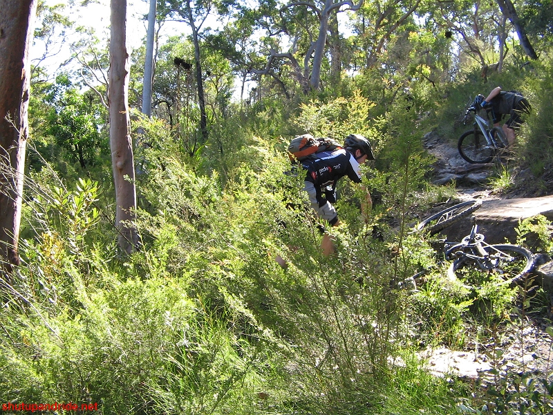 20070218-Mooney 176 